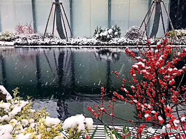 https://mmbiz.qpic.cn/mmbiz_jpg/rtSpR0PibZPWWhswRiayOiaV10jsfhO3ZDL8dkRPpXQ6UV1fVpE0co8libw8mBniba1Y8o5F45QaMJuCqIFTok06cyA/640?wx_fmt=jpeg